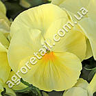 Фіалка Целло лимонно-жовта F1 проф 50 шт Hem Genetics, фото 3