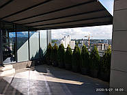 Пергольні маркизи для пентхауса