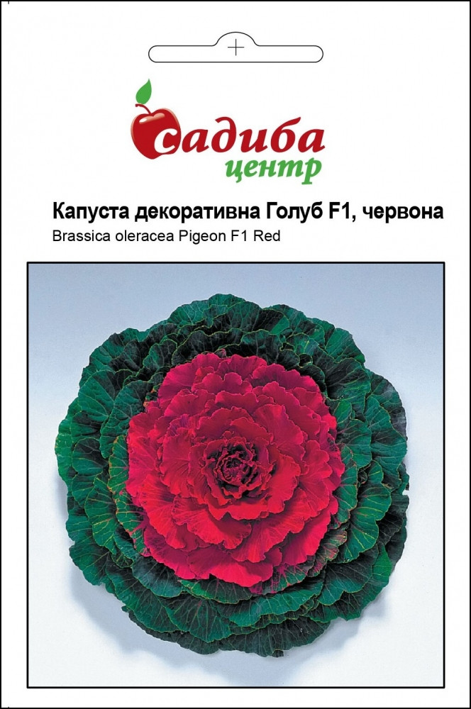 Капуста декоративна Голуб F1, червона 10 шт. Садиба Центр