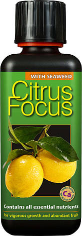 Добрива для цитрусових Citrus Focus 300 мл, фото 1