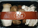 Грибний набір №2 в упаковці 450г (Свіжі гриби), фото 4