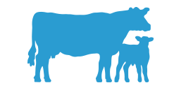 БВМД для ВРХ