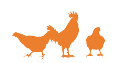 БВМД для птахів