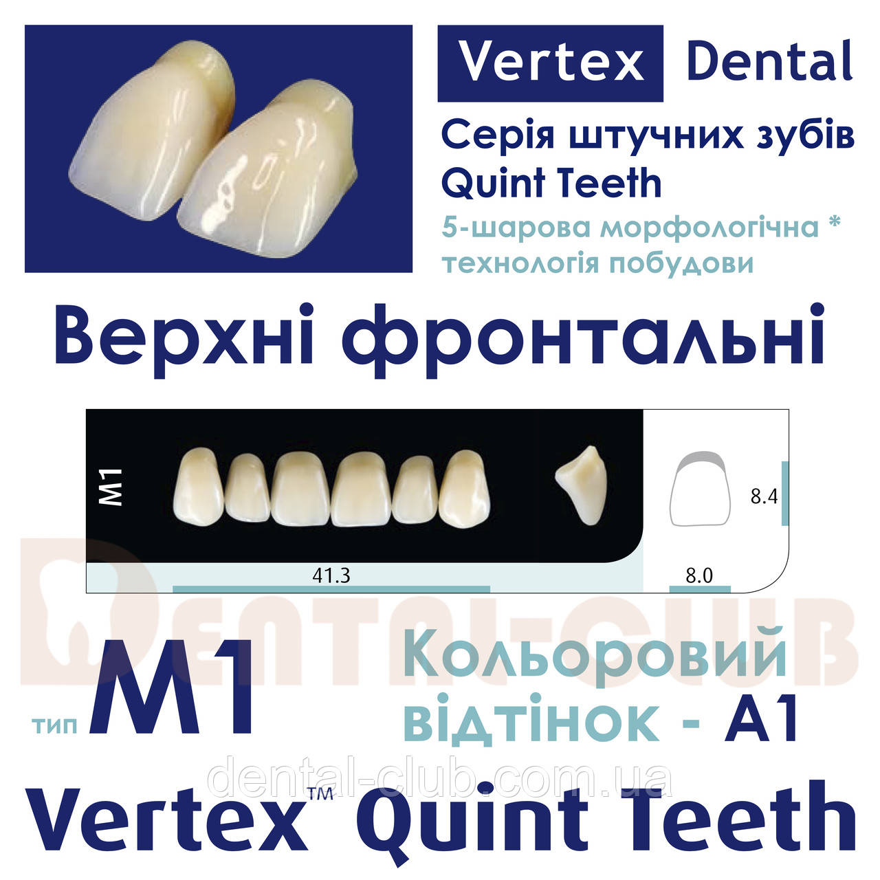 Зуби штучні акрилові п'ятому ятишарові шарові Vertex Quint (вертекс квінт), верхні фронтальні, тип зубів, фото 1