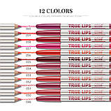 Набір водостійких олівців для губ Menow True Lips (12 шт), фото 5