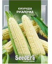 Насіння кукурудзи сорт Русалка 20 г Seedera. Середня.сахарна.