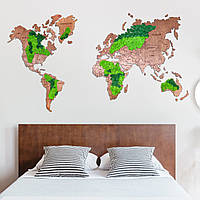Мапа світу з мохом. Декор для дому офісу. Оригінальний подарунок з моху