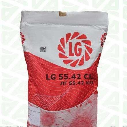 LG 5542 CL (ЛГ 5542 КЛ) гібрид соняшнику