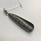 Окаменелый кулон из натурального окаменелого ортоцераса Индия, фото 4