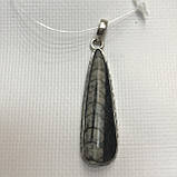 Окаменелый кулон из натурального окаменелого ортоцераса Индия, фото 3