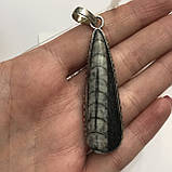 Окаменелый кулон из натурального окаменелого ортоцераса Индия, фото 2