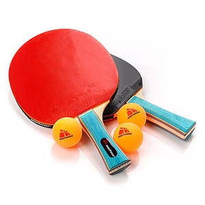 Набір для настільного тенісу Meteor Zephyr (original), набір для пінг-понгу 2 ракетки, 3 м'ячика