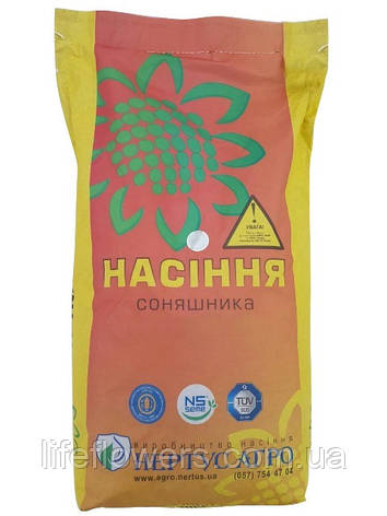 СЕМЕНУ ПІДСОЛОЧНИКА НС ФАЛКОН ялить+, СЕРБІЯ, фото 1