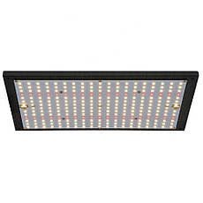 Світлодіодна лампа для рослин QUANTUM BOARD Samsung LM301B (V3.0) 200W, фото 5