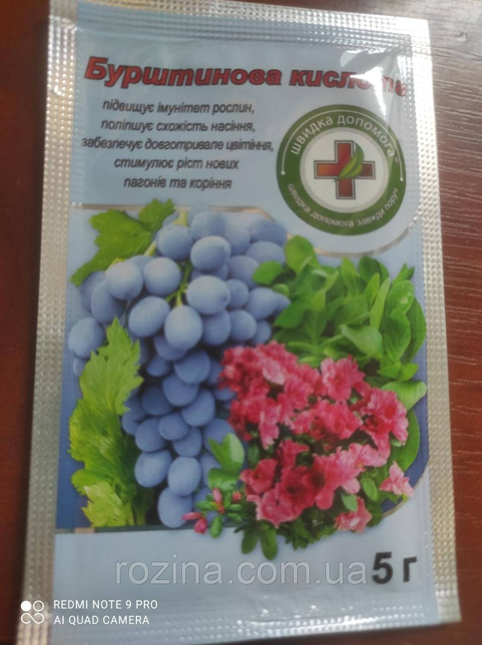 Бурштинова кислота, 5 г, регулятор росту