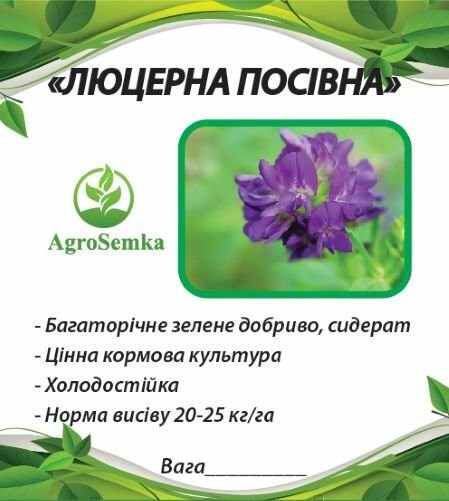 Насіння трави Люцерна (магнічена) багаторічна посівна,1 кілограм урожай 2023 г