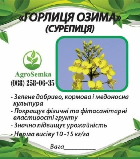 Трава Горлиця озима (Суріпиця), сидерат 1кг