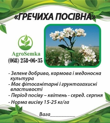Насіння Гречиха( Гречка) посівна, 1кг