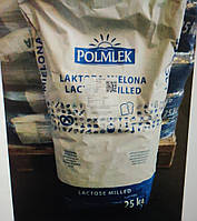 Лактоза харчова від 25 кг