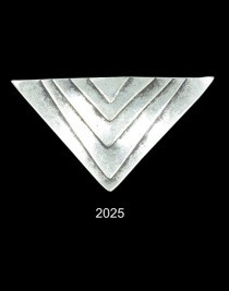 Кулон 2025