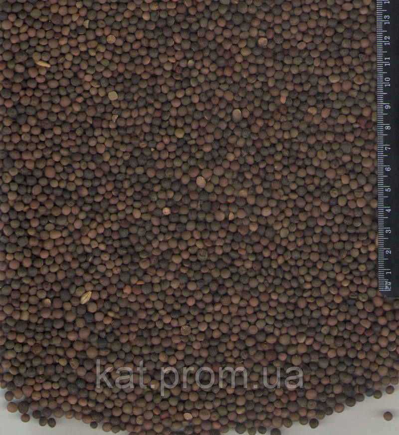 Вика ярова Білоцерковська-33