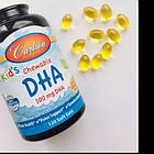 Carlson Kid's Chewable DHA жувальні Omega-3 для дітей смак апельсин, 120 ЖК, фото 2