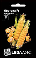 Насіння кукурудзи Оватона (Oveton) F1, 20 шт., суперсолодкой (ТМ Лєда Агро)