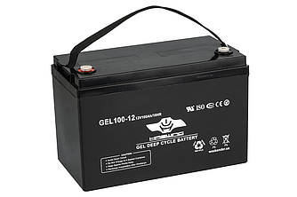 Гелевий акумулятор Haswing 100AH GEL. Купити акумулятор для газового котла, безперебійника, електромотора