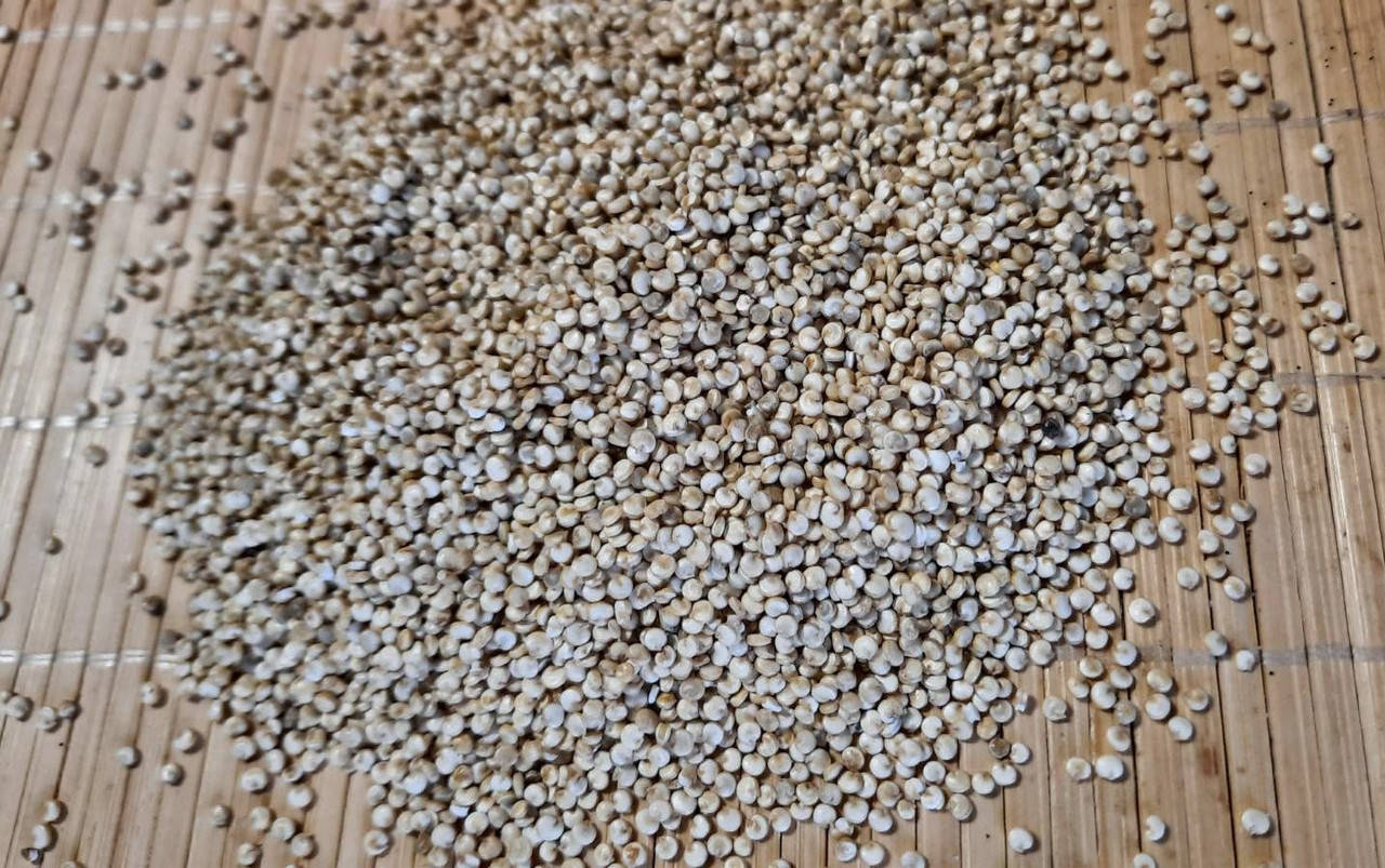 

Киноа белая