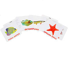 Картки Домана "Жителі водойм" від Вундеркінда з пелюшок, великі, з фактами, 20 карток, від 1 року