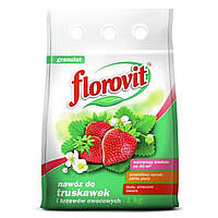 Удобрение Florovit для клубники и земляники 1 кг