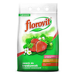 Florovit добриво для полуниці і суниці 3 кг