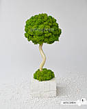 Топіарі у бетонній кашпо з стабілізованого моху. Еко-дерево МОХ 35 см, біле, фото 3