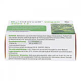 D3-Intercell Vegan 4000 IE — вітамін D3 рослинного походження, 90 кап., фото 3