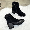 Черевики чорні жіночі замшеві, декоровані ремінцем, фото 2