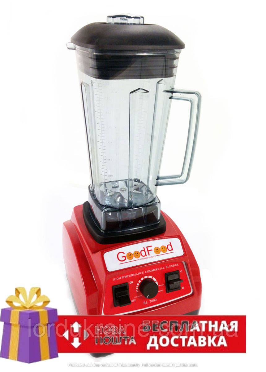 Блендер PROFI професійний GoodFood BL2000