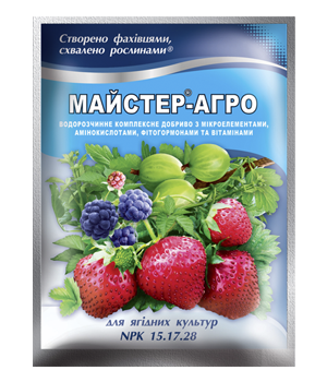 Добриво Майстер-Агро для ягідних культур 100 г, Караван, фото 2