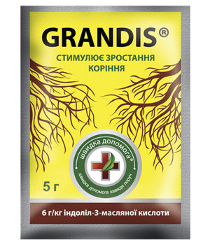 Рерулятор росту Grandis, 5 г, Киссон, фото 1