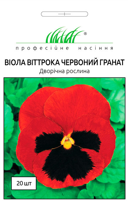 Віола (фіалка) Червоний Гранат віттрока 20 насінин