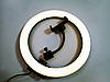 Кільцева LED-лампа RGB MJ26 26 см 1 кріп.тел USB, фото 10