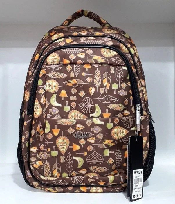 Рюкзак шкільний ортопедичний для дівчинки на два відділу 2-5 клас Dolly 534