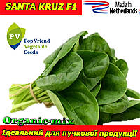 Насіння, Шпинат гібрид САНТА КРУЗ F1 / SANTA KRUZ F1 (50 000 насіння), Pop Vriend Seeds (Нідерланди)