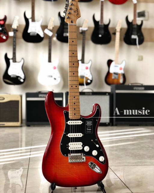 Заказать Электрогитара FENDER PLAYER STRATOCASTER HSS PLUS