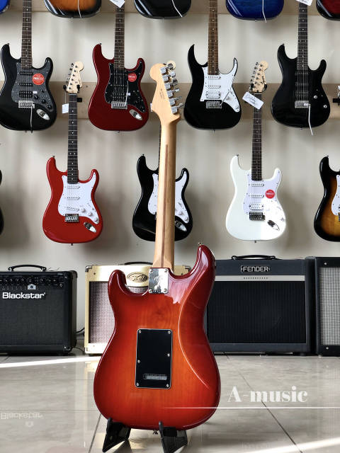 Заказать Электрогитара FENDER PLAYER STRATOCASTER HSS PLUS
