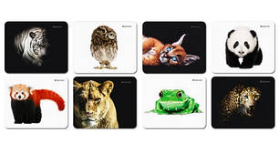 Обладнання