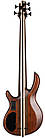 5-струнна бас-гітара CORT A5 Ultra Ash (Etched Natural Black), фото 5
