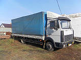 Вантажівки по Дніпропетровій зоні, фото 2