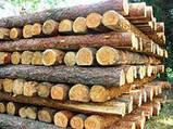Дерев'яний стовпчик, підтоварник дерев'яний, фото 5