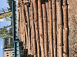 Дерев'яний стовпчик, підтоварник дерев'яний, фото 2