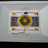 Інкубатор Теплуша з автоматичним переворотом яєць з вентилятором і цифровим терморегулятором на 63 яйця, фото 3